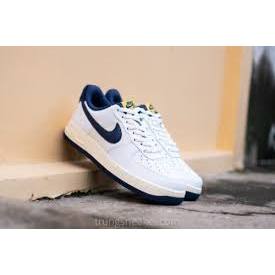  現貨 Nike Air Force 1 海軍藍 藍 奶油底 男鞋 DO5220-141