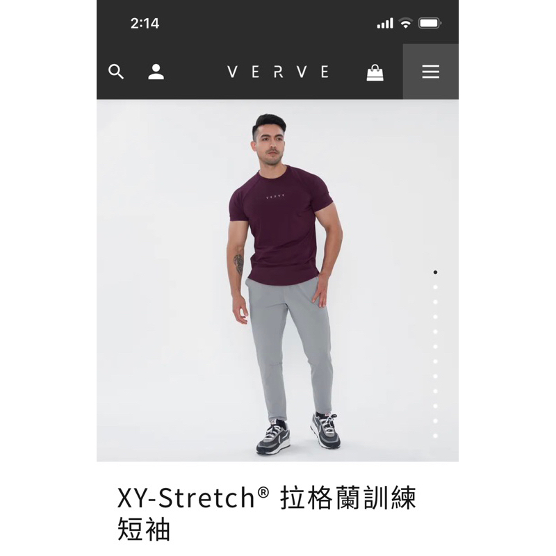 [VERVE] XY-Stretch 拉格蘭 訓練短袖 機能 透氣 四面拉伸 蘇木棕 XL 重訓 顯壯 運動 奧賽 劉翔