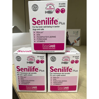 ko zoo 法國Senilife腦力活老犬腦部營養補充劑/30粒(膠囊)