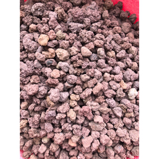 紅火山岩，培菌專用底沙，可過濾水質.100g=10元。