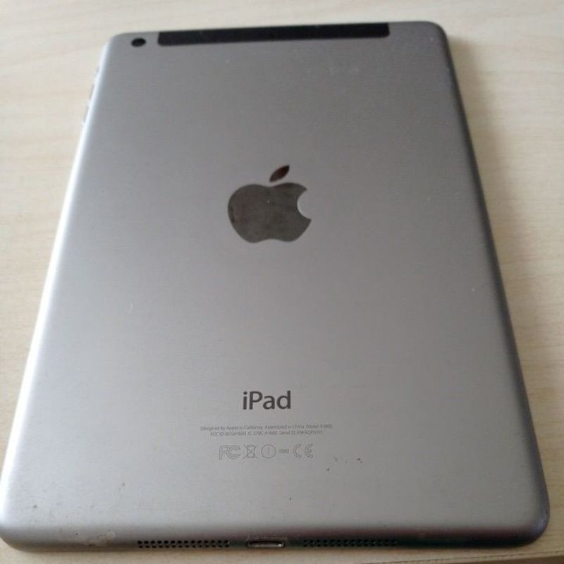 Apple iPad mini 3 A1600 / iPad mini 2 (A1489)螢幕損壞 當零件賣廢鐡價 盲盒
