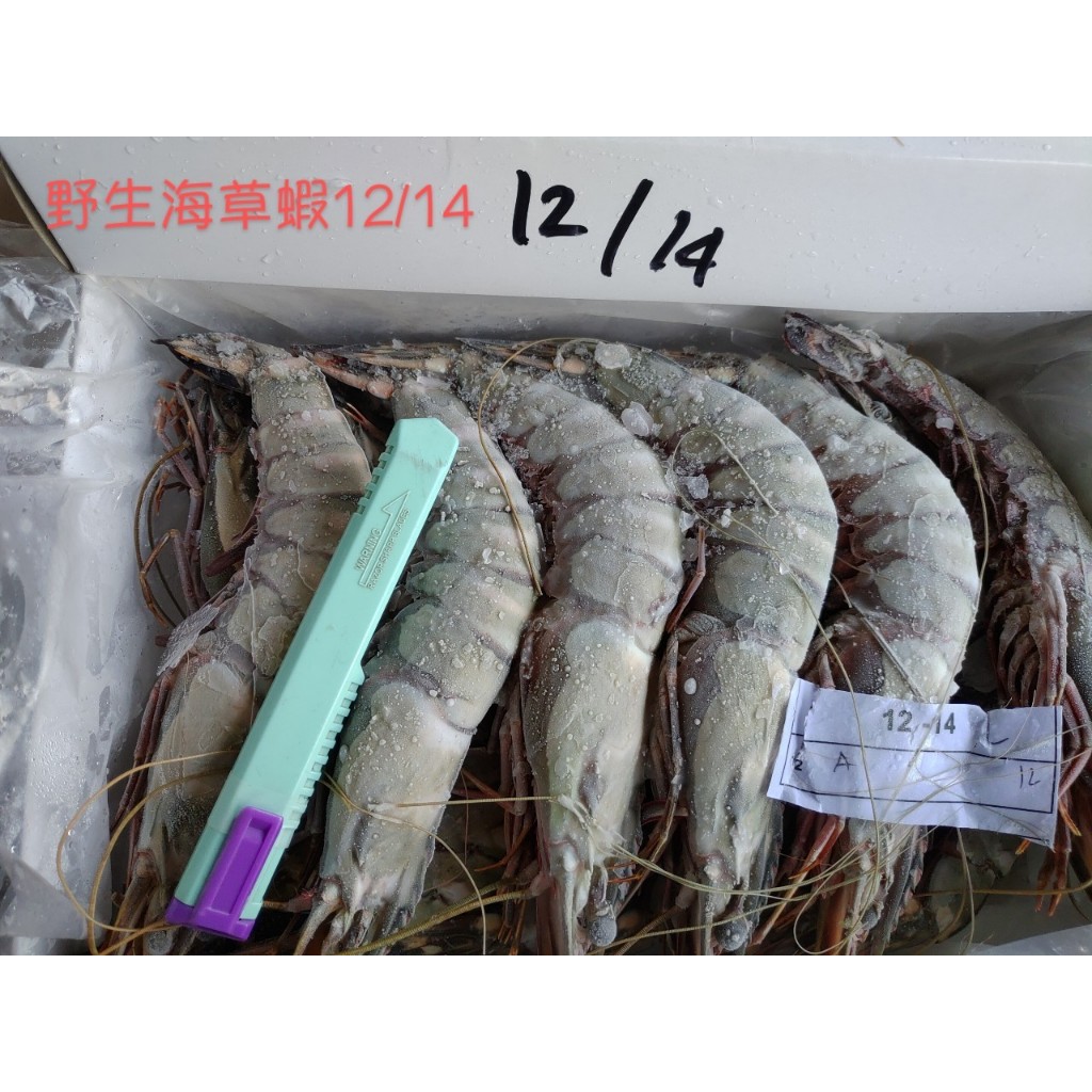 野生海草蝦1kg/盒