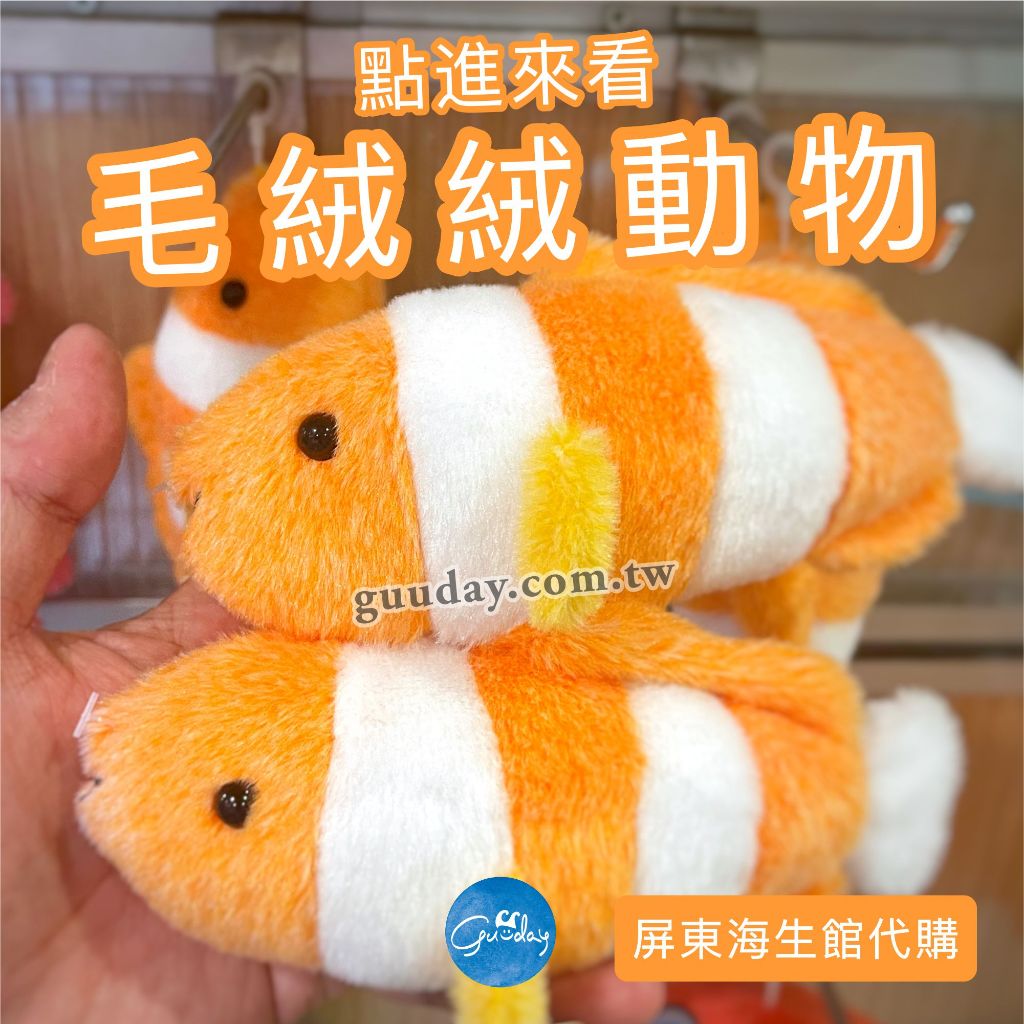 小丑魚 鯨鯊 海星 海蛞蝓 螃蟹 海龜 魟魚 章魚 娃娃 屏東海生館 XPARK 可愛的東西 生日禮物 GUUDAY