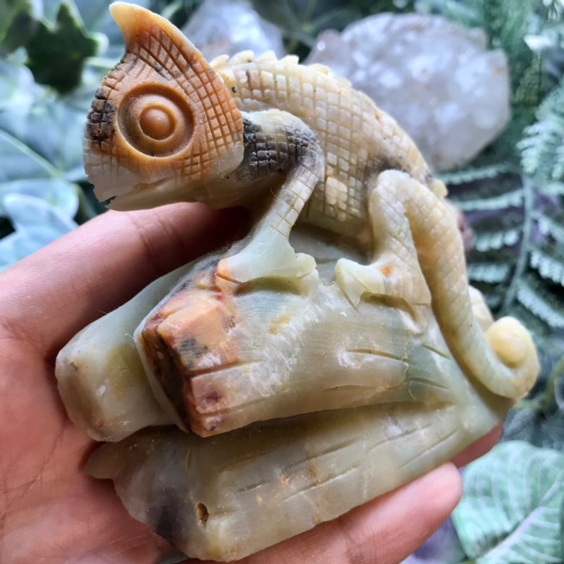 ［宇宙💫］亞馬遜天河 蜥蜴（吸億💵）雕刻件擺件