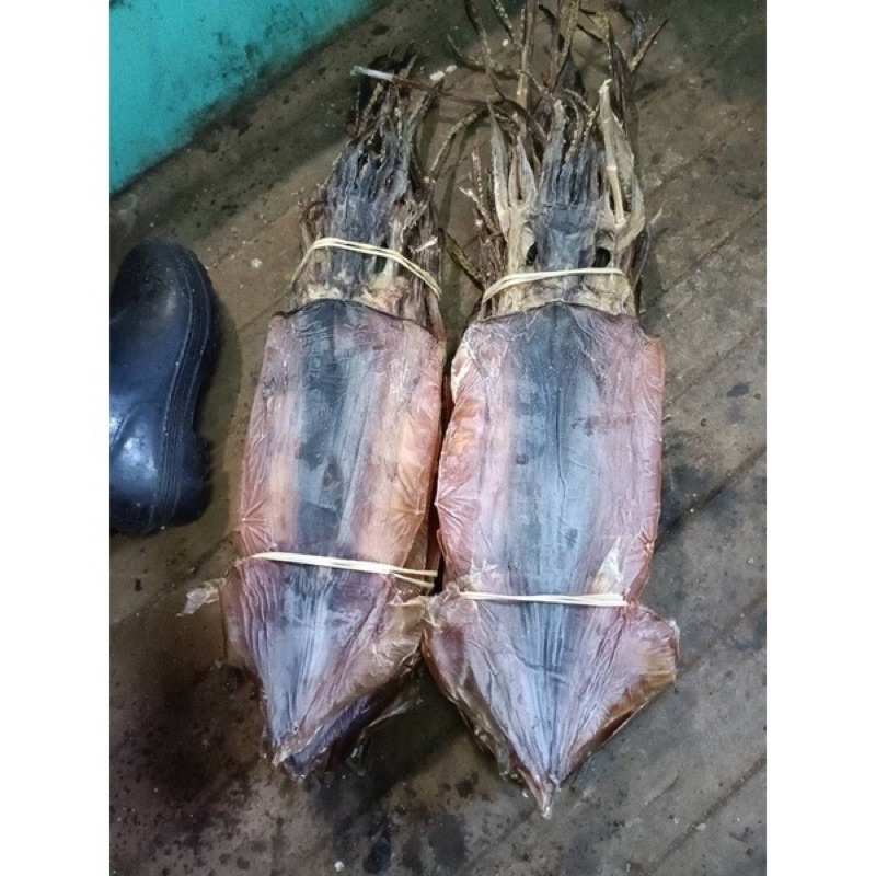 日本北海道船曬魷魚乾優惠價一斤（600 g）350元三斤（1800 g）促銷價900元