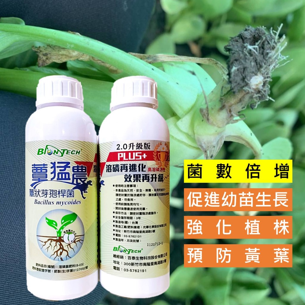 植物黃葉好幫手 | 蕈猛農(蕈狀芽孢桿菌)1L / 4L