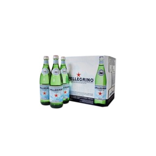 SAN PELLEGRINO 聖沛黎洛寶特瓶氣泡礦泉水#Costco好市多 #56570