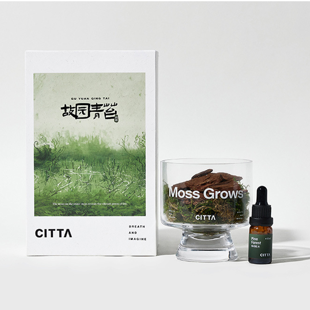 【極致禮盒！】CITTA松木青苔香薰 居家香氛擴香石 薰香精油晶岩礦石 聖誕禮物 聖誕節交換禮物 尾牙 贈品 生日禮物