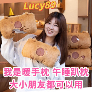 交換禮物🎁實用款 現貨臺灣 卡皮巴拉暖手枕 水豚君 暖手枕 插手枕 水豚 娃娃 抱枕 卡比巴拉 午睡趴枕 小枕頭