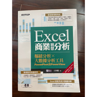 ✨［二手］Excel商業智慧分析/樞紐分析x大數據分析工具PowerPivot及PowerView/王仲麒