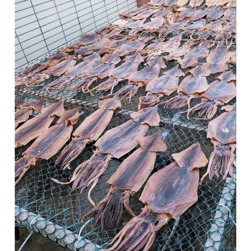 太平洋魷魚乾 （600克/1800克）魷魚乾 魷魚絲 阿根廷魷魚 魷魚片