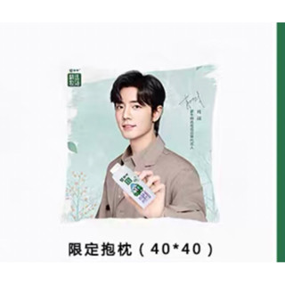 現貨在臺肖戰代言蒙牛抱枕/rio抱枕/奧利奧抱枕/歐扎克新款抱枕/溜溜梅抱枕/Rio抱枕/蒂蘭聖雪抱枕