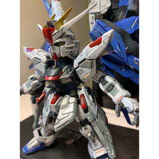 {鋼彈的屋-模型工作室} 萬代 MGSD 自由 鋼彈 塗裝 完成品 (實品如圖) 鋼彈 模型 代工