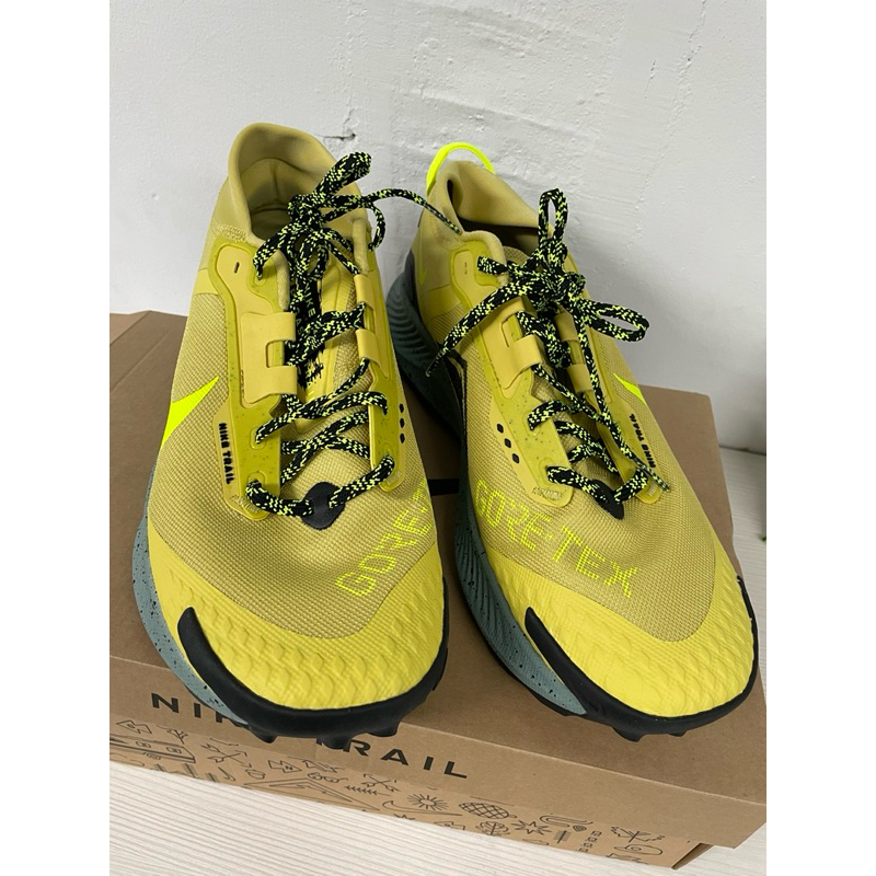 全新Nike 越野跑鞋 Pegasus Trail 3 GTX  男鞋 防水 戶外 DC8793-300 us11號