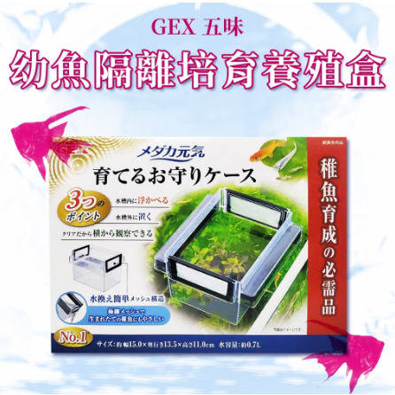 日本 GEX 五味 幼魚隔離培育養殖盒 隔離盒 繁殖盒 飼育盒 孔雀魚 鱂魚 生小魚 小型魚