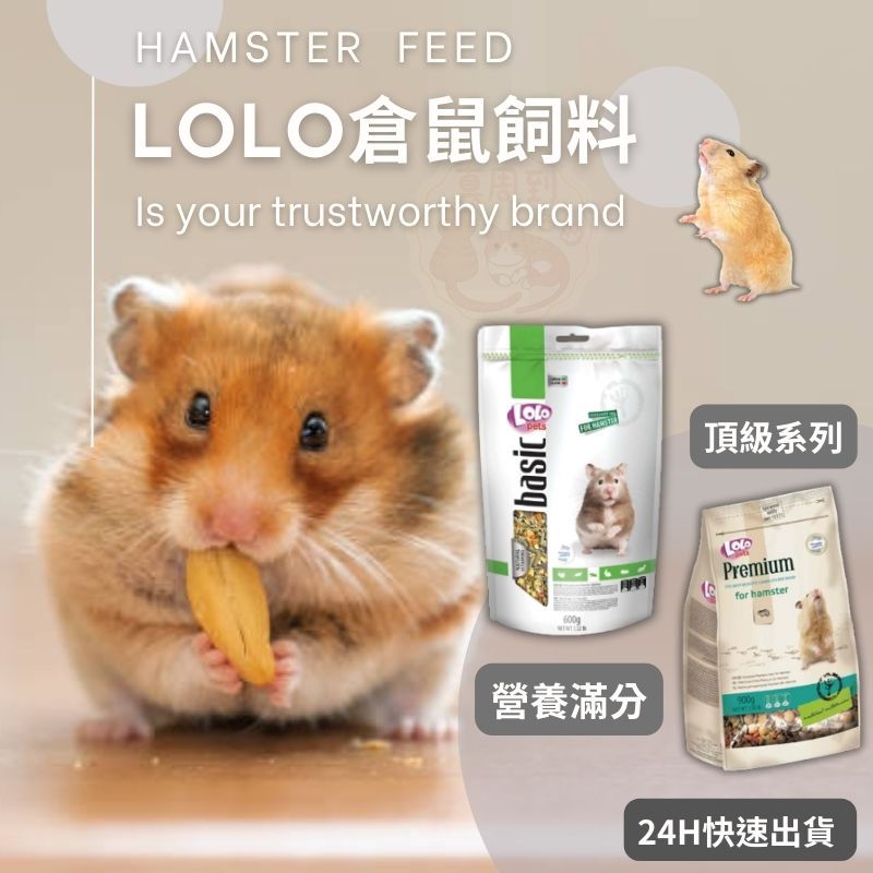 【免運 真周到】LOLO倉鼠飼料 小動物飼料 LOLO飼料 倉鼠飼料 倉鼠主食 小寵飼料 寵物鼠 黃金鼠 楓葉鼠 三線鼠