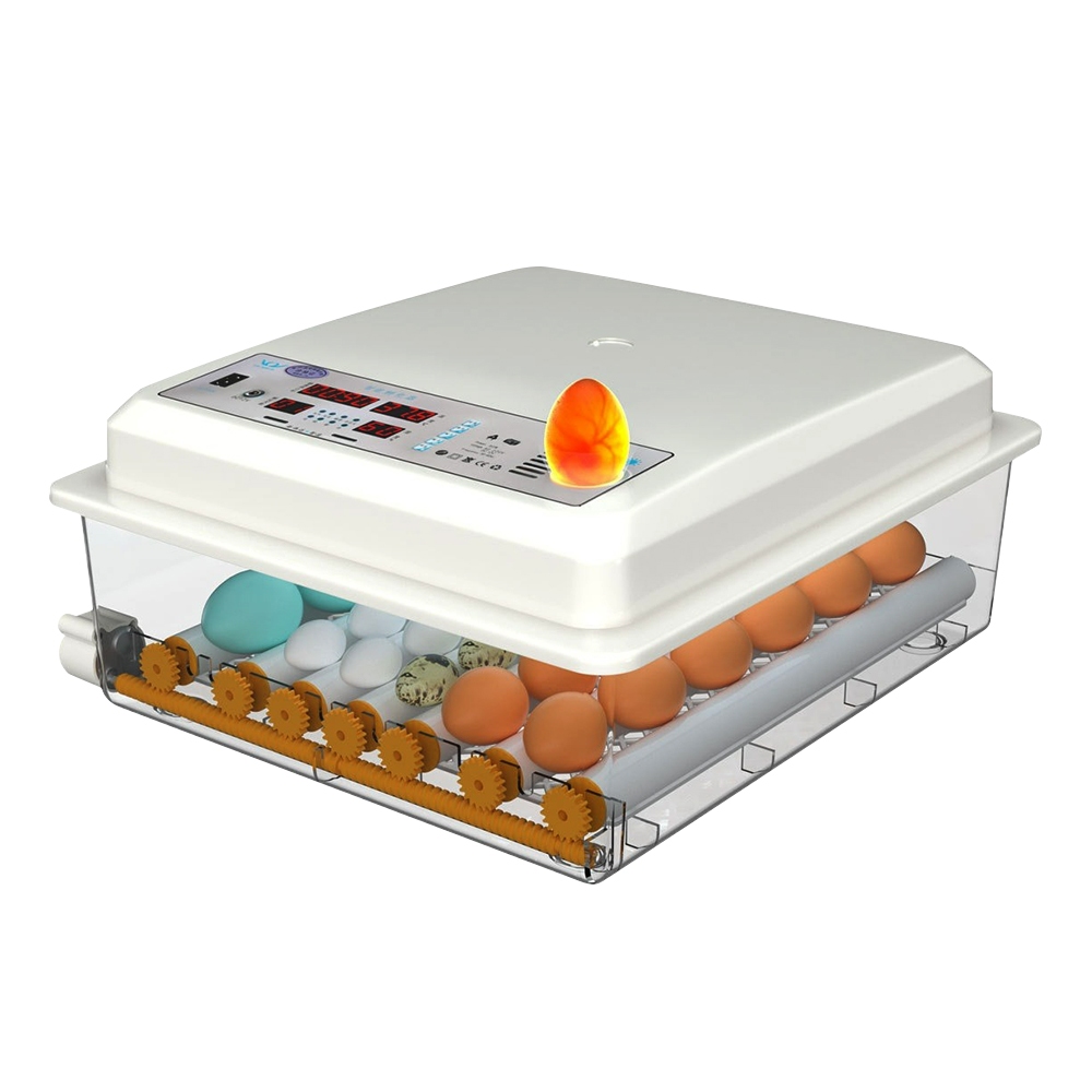 12H出貨-一機多用 不挑蛋種 『全自動保溫孵化機』 110V 雙電源 可當保溫箱 孵蛋器 孵蛋機 孵化箱 孵蛋器 孵蛋