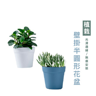 WENJIE_DA163掛式塑料盆栽花器 植物花盆 墻壁陽臺室內牆上盆景 半圓形小花盆 水培花盆 壁掛式收納盒 塑膠花盆