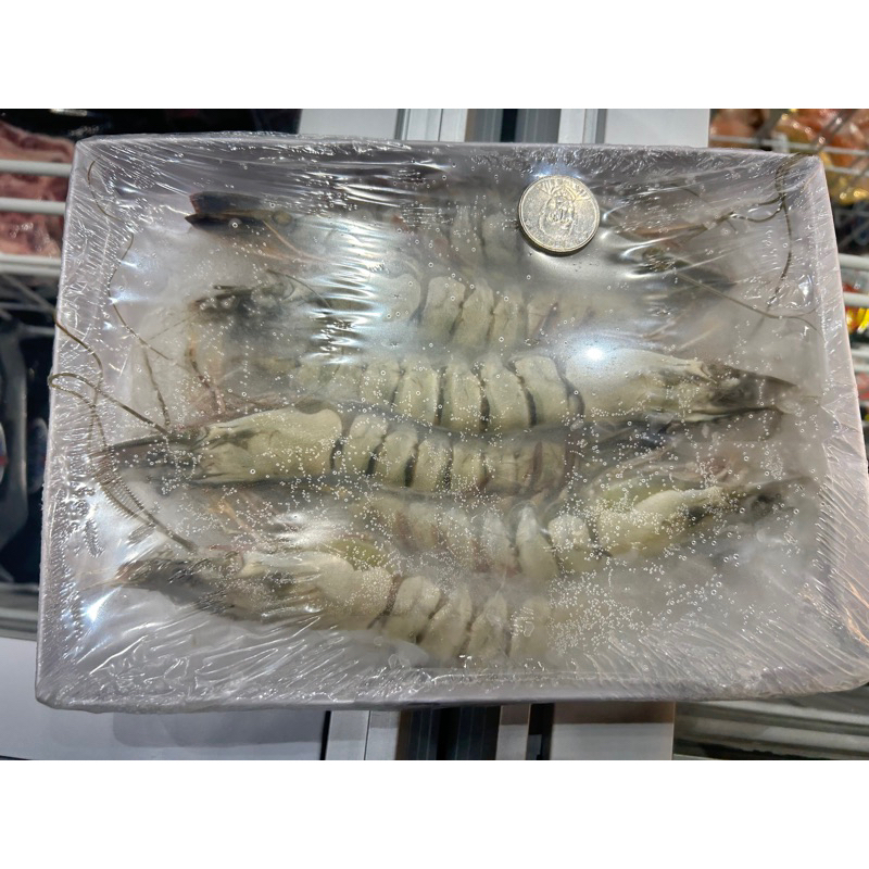 【武鶴嚴選】馬來西亞草蝦6P