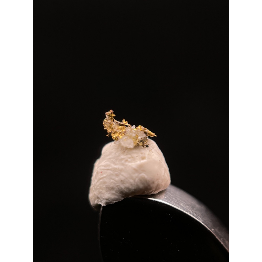 自然金 石英 Native Gold on Quartz 羅馬尼亞 原礦標本