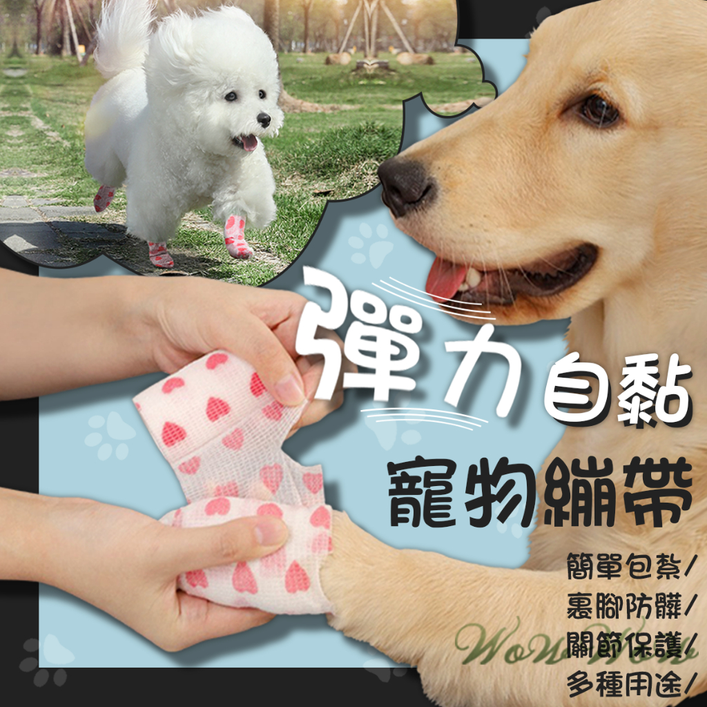 【最高折300】毛皇上寵物用品 寵物繃帶 彈力自黏 無紡布 寵物包紮 運動繃帶 貓狗腳套 寵物彈力繃帶