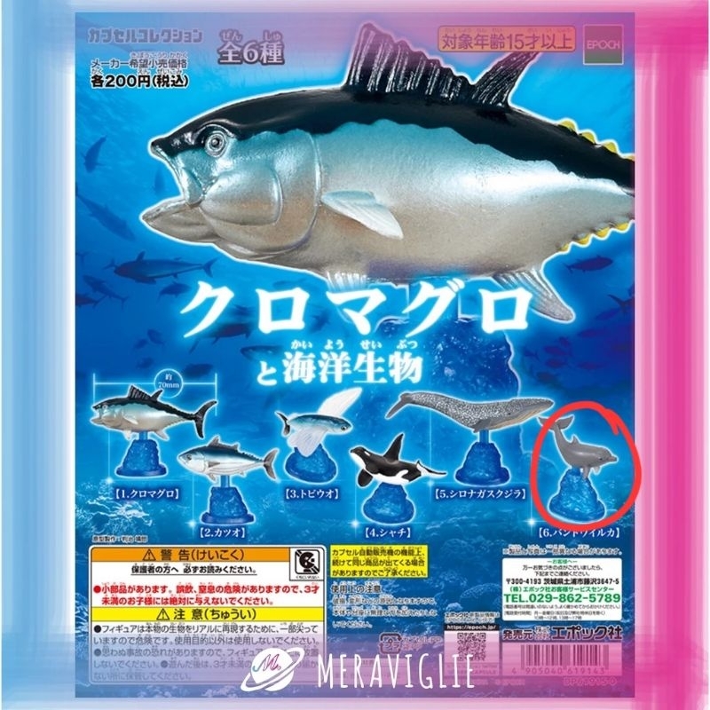 （二手）EPOCH 黑鮪魚與海洋生物 海豚 轉蛋 扭蛋 模型 公仔
