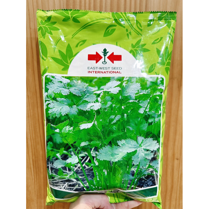 原包裝 500克 泰國耐熱香菜種子 清香四季香菜種子 香菜種子 耐熱香菜種子 泰國香菜種子 芫荽種子 耐熱芫荽種子