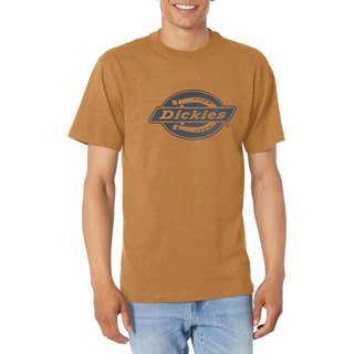 【DICKIES】美線 WS22C BD HEAVYWEIGHT LOGO TEE 高磅數 短T (駝色) 化學原宿