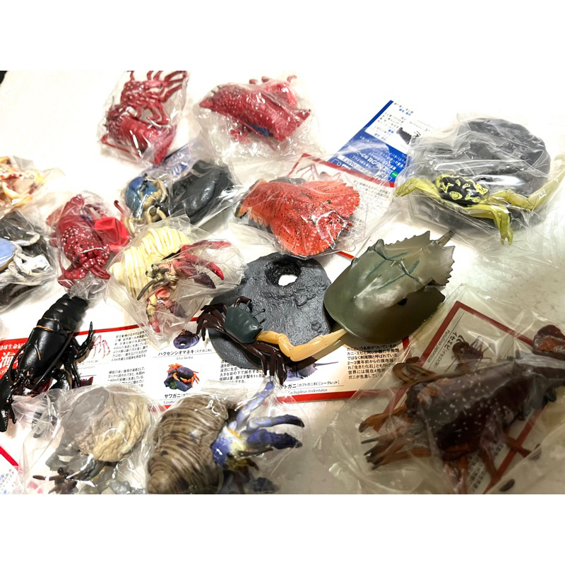 EPOCH  地球生命紀行 蟹海老 單售 螃蟹 蝦子 潮招蟹 扭蛋 擬真 生物 寄居蟹 椰子蟹 龍蝦 戰車