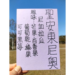 [艾莉雅咖啡] 尼加拉瓜 聖安東尼奧 日曬 半磅精品咖啡豆