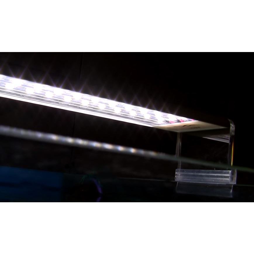 【新莊/五股/青島水族】千尋-A系列 LED 專業級 水草 LED 燈(送調光器) 1.2尺
