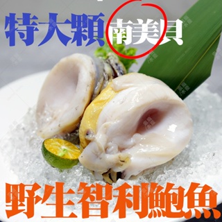 【盅龐水產】智利鮑魚8/10(冷凍南美貝) - 重量1kg±5%/包