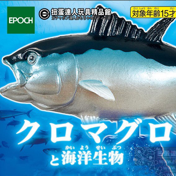 【扭蛋達人】(日版)EPOCH扭蛋 北方黑鮪魚與海洋生物 全6種(現貨特價)K2