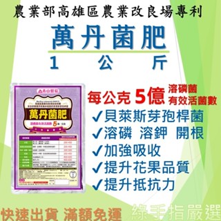 【綠手指嚴選】【24H出貨】【4包免運】【最新批號】萬丹菌肥 貝萊斯芽孢桿菌1kg高雄改良場專利技轉 溶磷菌肥料溶鉀開根