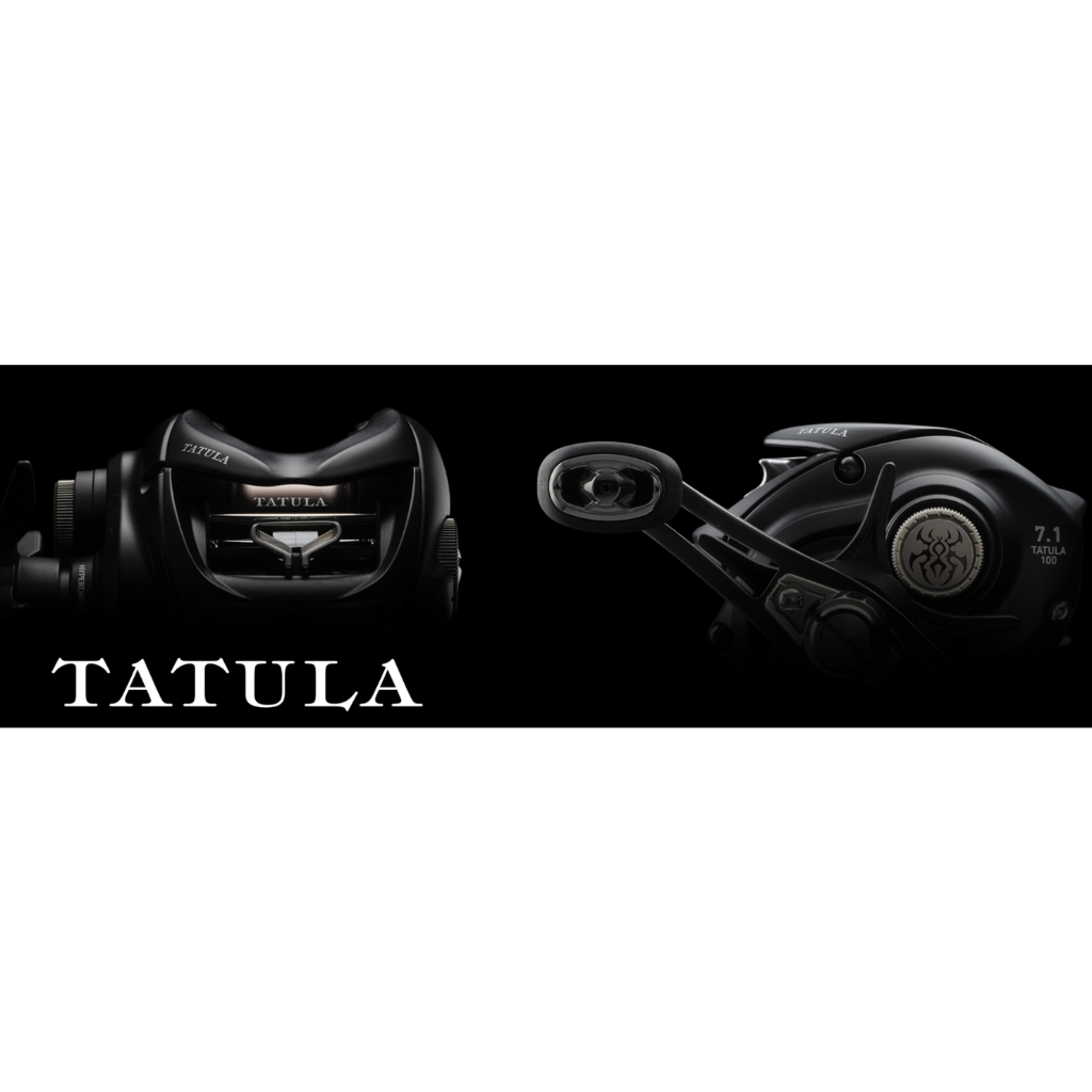 💢 桃園東區釣具【 DAIWA  24年 TATULA  TW 100 小烏龜 】