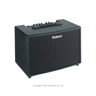 【含稅/來電優惠】Roland AC-90 空心吉他音箱/電.木吉他專屬音箱