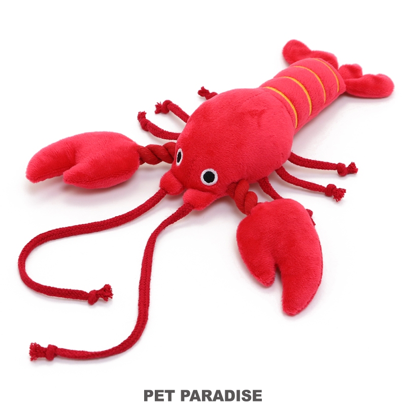 【PET PARADISE】寵物龍蝦造型棉繩玩具｜PP 2024新年熱銷款 狗狗繩結玩具 寵物玩具