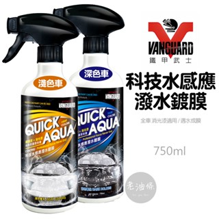【免運附發票】鐵甲武士 VANGUARD 科技水感應潑水鍍膜 奈米水鍍膜 水鍍膜 玻璃可用 消光漆可用 全車 消光車適用