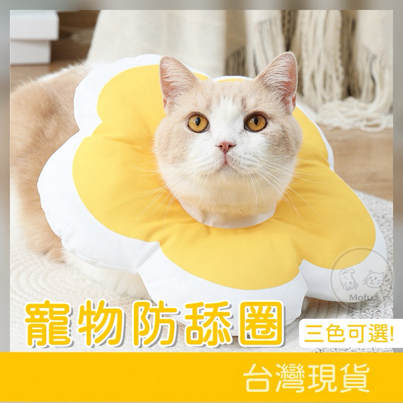 MOFU🐱 伊莉莎白頭套 防舔頭套 防舔圈 寵物頭套 羞恥圈 狗狗防舔圈 貓咪防舔圈 貓頭套 貓咪頭套 貓頭套防舔