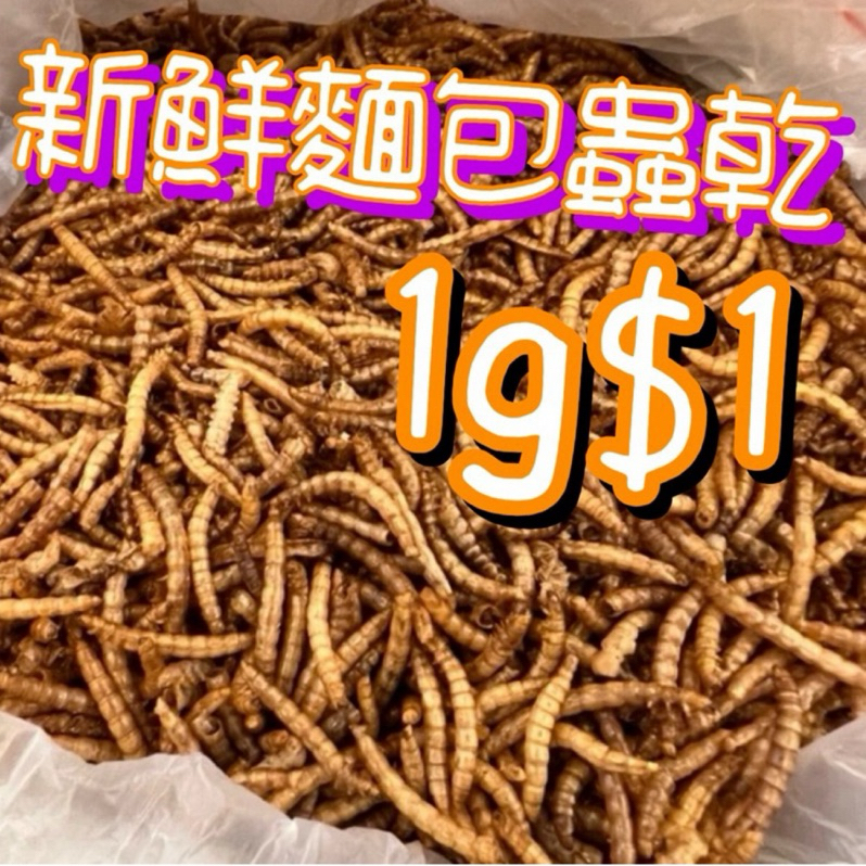 ［水族最便宜］麵包蟲乾 烏龜飼料 龍魚飼料 乾燥蟲 倉鼠/刺蝟/黃金鼠/寵物鼠/蜜袋鼯/蜥蜴/鳥類/觀賞魚/兩棲爬蟲