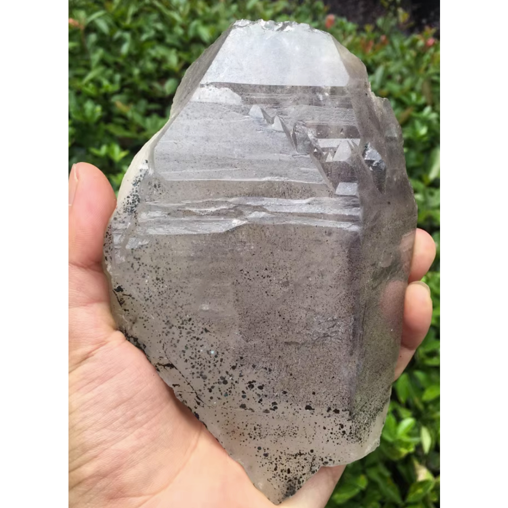 1.1kg煙火超七天然白水晶標本骨幹原石擺件黑雲母共生一物一圖水晶