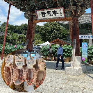 韓國奉恩寺手鍊 seventeen 淨漢同款 9/10帶回