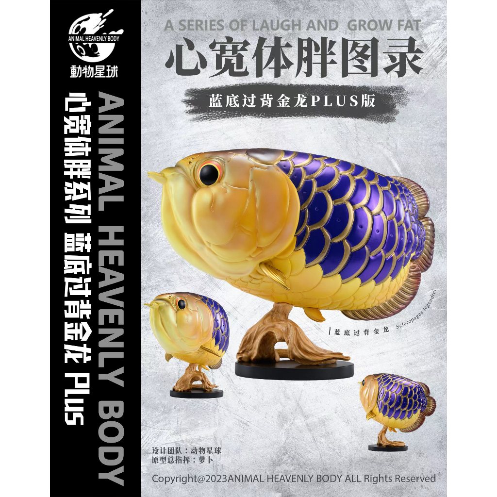 動物星球 動物星雲 原廠代理 藍底過背金龍魚PLUS 現貨 龍魚