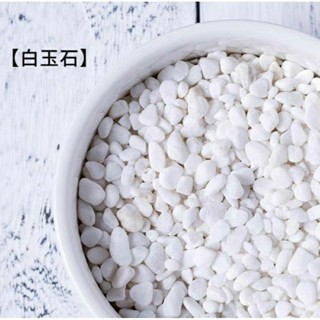 【☘️漢白玉】白石 特白石 多肉植物 仙人掌 花盆 多肉裝飾石 白色小石頭 鋪面 玫瑰石 盆栽 園藝 水族 裝飾 資材