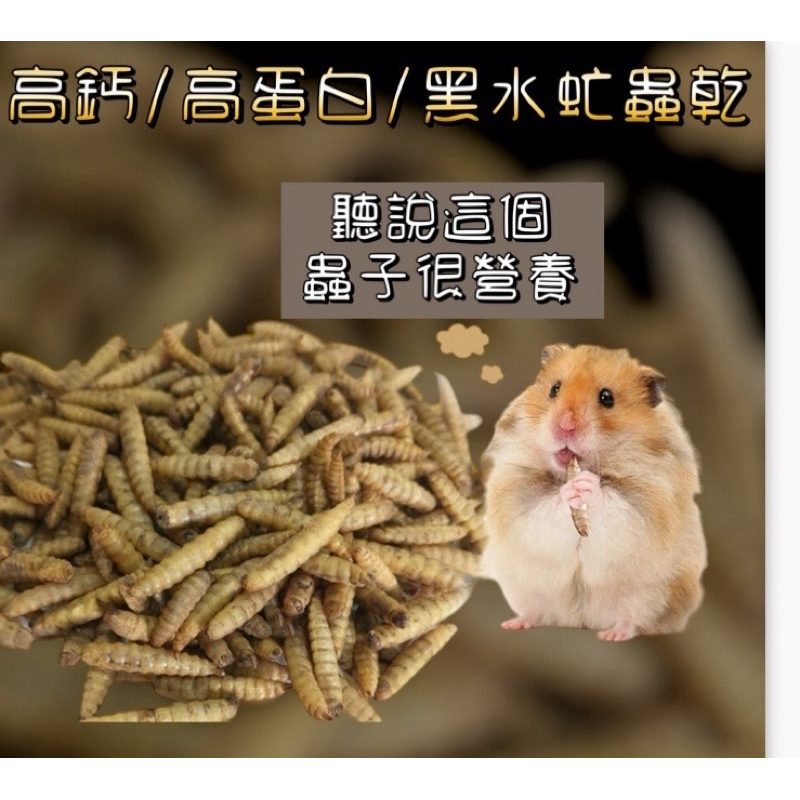 倉鼠飼料 乾燥麵包蟲 麵包蟲乾 大麥蟲乾 黑水虻 蠅蛆乾 蜜袋鼯飼料 烏龜飼料