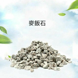 【☘️麥飯石】多肉植物 仙人掌 花盆 鋪面石 裝飾 水耕 水培 植物 盆栽 赤玉土 漢白玉 玫瑰石 鋪面 園藝 微景觀