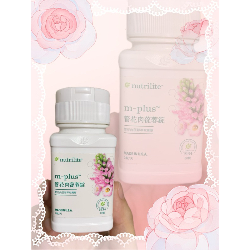 現貨不用等❤️Amway 💕安麗 紐崔萊 管花肉蓯蓉錠 🌸100%保證公司貨🌸