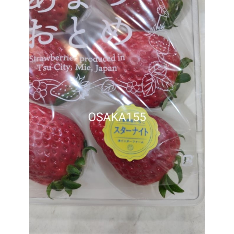 日本草莓.草莓苗. 三重  星夜(スタ-ナイト) 草莓種子