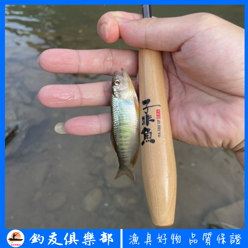 【釣友俱樂部】日式小物釣 微物釣組 釣鯽魚竿 溪流釣 馬口石斑釣竿 兒童釣竿 小魚釣竿 親子釣 實心竹竿 小物釣組