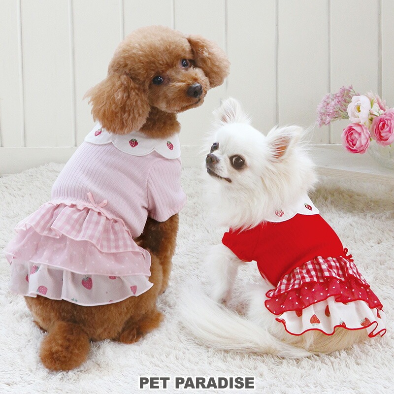 貝果貝果 日本 pet paradise 草莓扇貝領蛋糕裙 兩色 [D17543] 4S